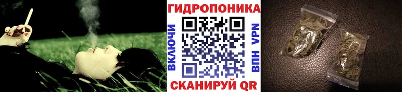 darknet клад  как найти   Лахденпохья  Каннабис тримм 